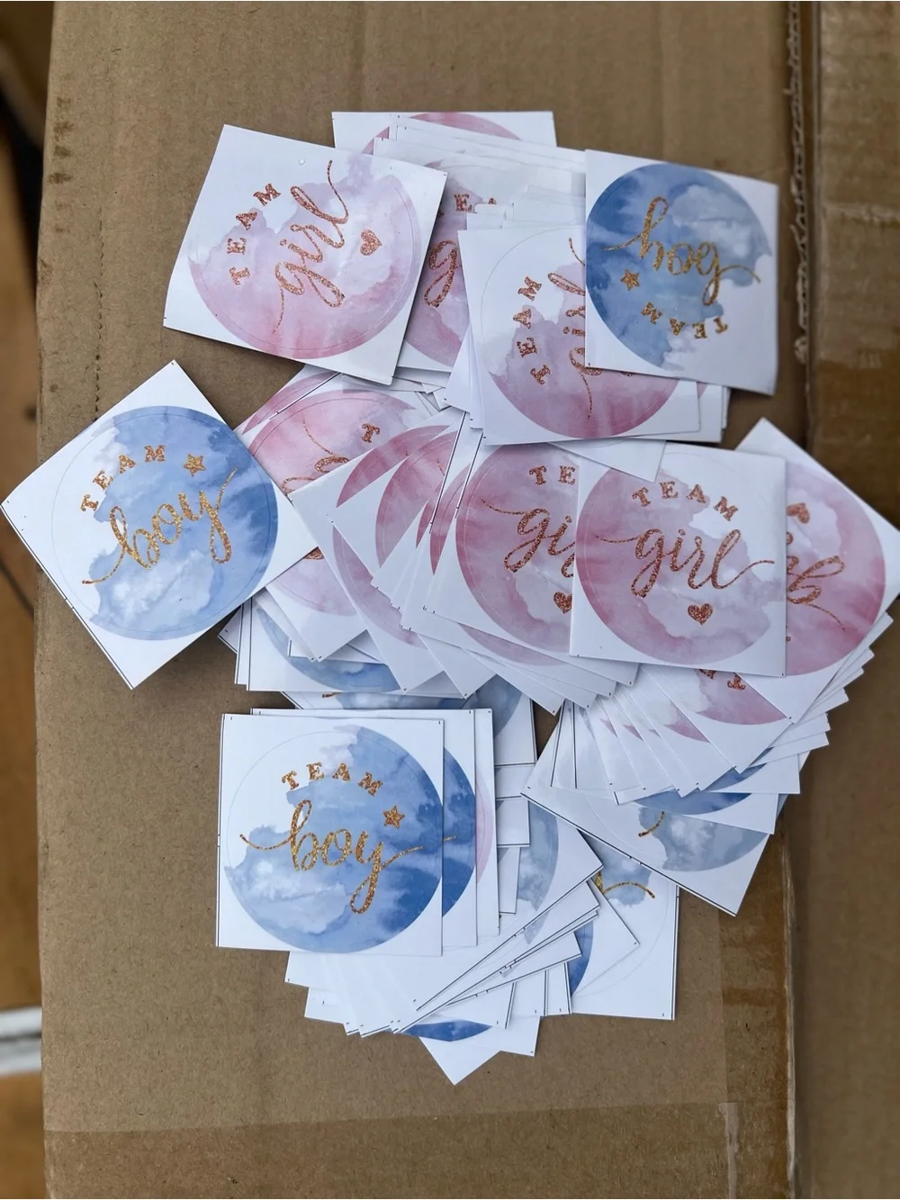 Gender Reveal Stickers & Cupcake Sticks Team Boy & Team Girl